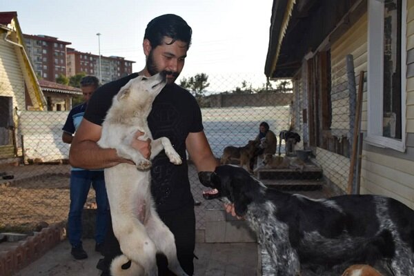 از سرگیری طرح سیار عقیم‌سازی سگ‌ها در تهران