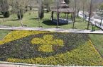 ماجرای ۸۶ قطعه فرش گل‌های بهاری در حاشیه بزرگراه‌های تهران