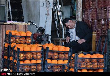 قزل قلعه پرمشتری‌ترین میدان میوه و تره‌بار مرکز تهران شد