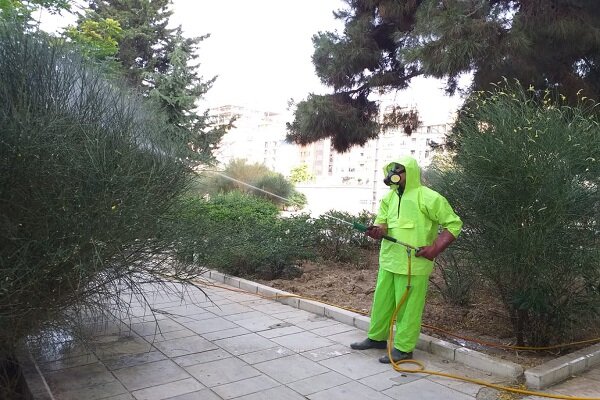 از احداث بوستان یک هکتاری تا کنترل آفات درختان 