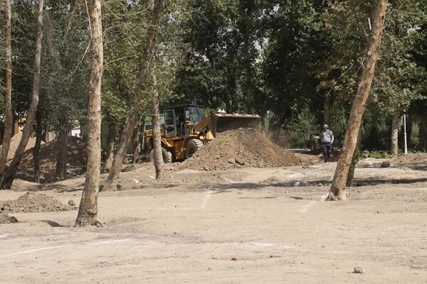 از احداث بوستان یک هکتاری تا کنترل آفات درختان 