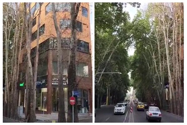 صدور رای جریمه با بالاترین ضریب برای مالک خاطی برج خیابان ولیعصر