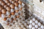 قیمت انواع تخم مرغ در میادین شهرداری تهران اعلام شد