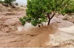 شرایط جغرافیایی پایتخت احتمال وقوع سیلاب را محتمل
می‌کند