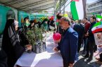 اهدای نهال‌های زیتون به کودکان در رویداد «سلام
فلسطین»
