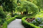احیای فضای سبز منطقه ۱۲ تهران
