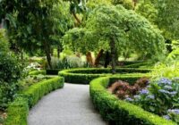 احیای فضای سبز منطقه ۱۲ تهران