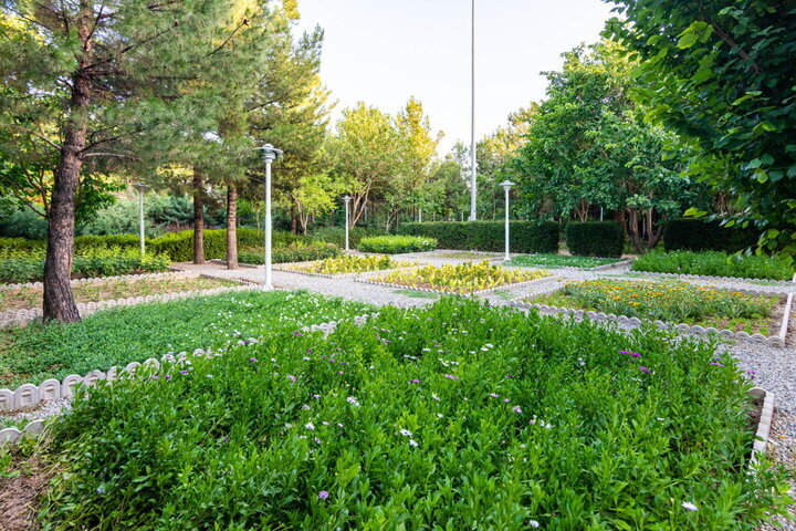 تدابیر جذب نیروی کارگر ایرانی برای حفاظت از فضای سبز تهران