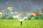 استفاده از ۵۶.۵ میلیون متر مکعب پساب برای آبیاری فضای سبز شهری
