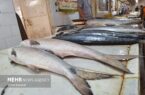 قیمت انواع آبزیان در میادین و بازارهای میوه و تره بار تهران