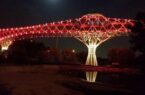 پل طبیعت در حمایت از بیماران ترومبوز قرمز می‌شود