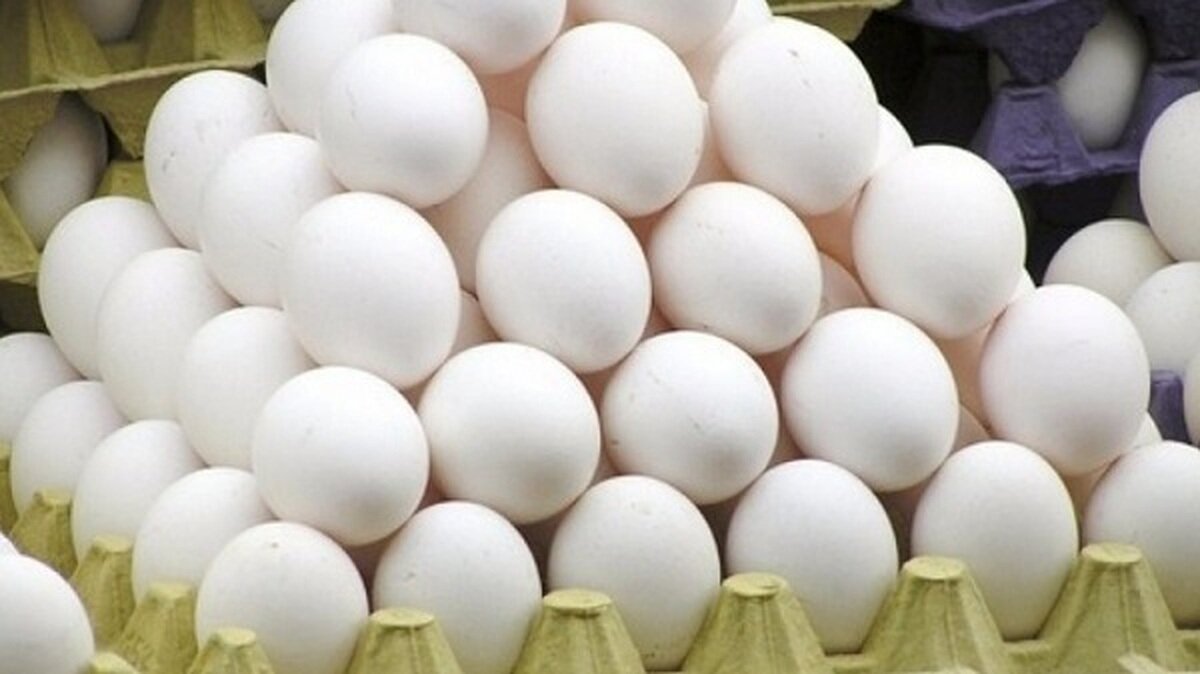 قیمت انواع تخم مرغ پوست سفید اعلام شد