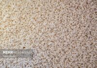 نرخ جدید انواع برنج در میادین میوه و تره‌بار تهران اعلام شد