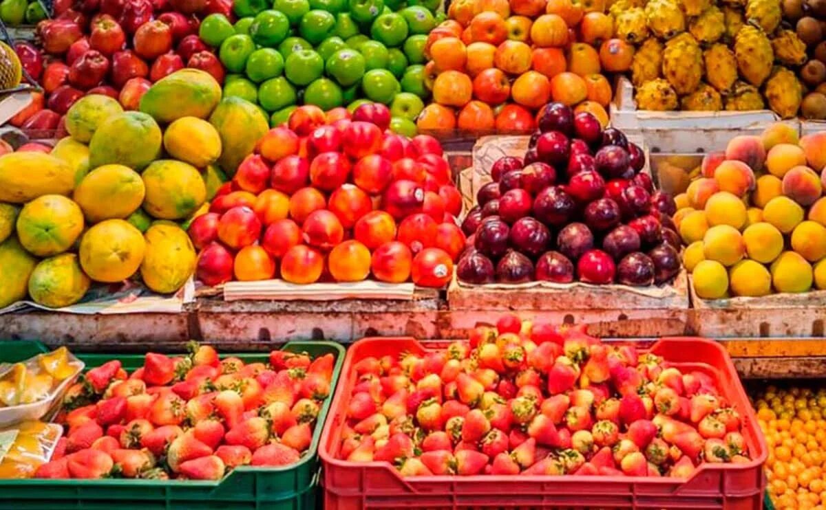 سازمان مدیریت میادین میوه و تره‌بار به عرصه تجارت خارجی ورود می‌کند؟