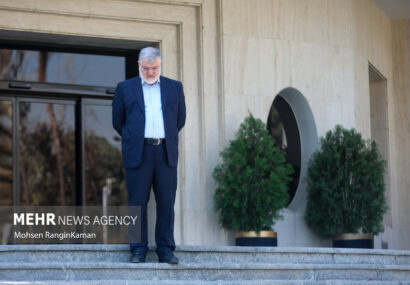 سالانه معادل جمعیت یک استان بارگذاری جمعیتی در تهران داریم + فیلم سالانه معادل جمعیت یک استان بارگذاری جمعیتی در تهران داریم + فیلم