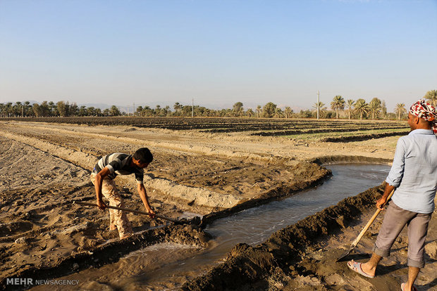 ۱۰ سال بعد از امروز؛ کدام مناطق تهران دیگر قابل سکونت نخواهند بود؟