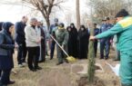کاشت ۴۷ نهال برای ۴۷ سالگی انقلاب اسلامی در منطقه ۱۳ تهران