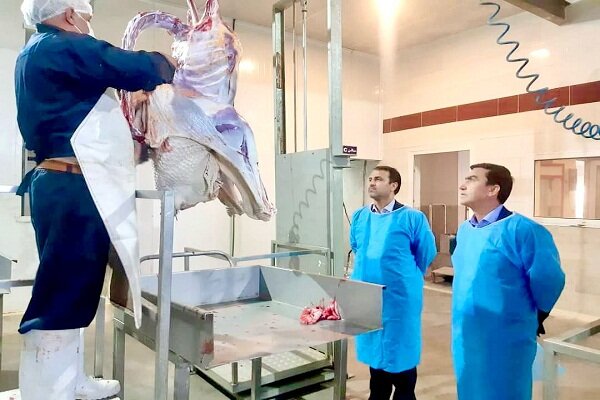 استفاده از ظرفیت های داخلی برای عرضه محصولات پروتئینی