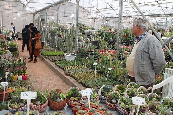نارضایتی بهره‌برداران بازار گل منطقه ۵ از برگزاری مزایده