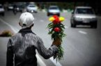 آغاز طرح ساماندهی گل‌فروشان در مسیرهای منتهی به بهشت زهرا(س)