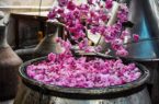 دیگ‌های مسی گلابگیری کاشان در پارک قیطریه به جوش می‌آیند