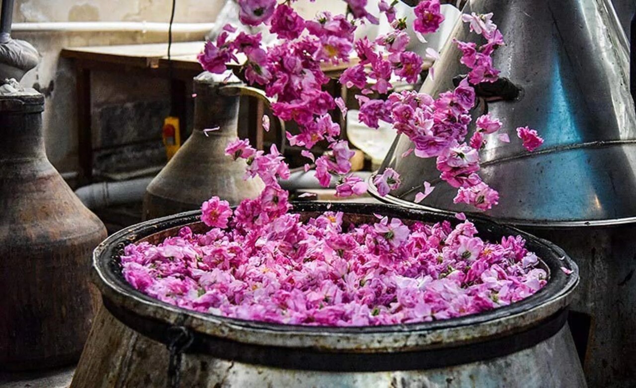 دیگ‌های مسی گلابگیری کاشان در پارک قیطریه به جوش می‌آیند