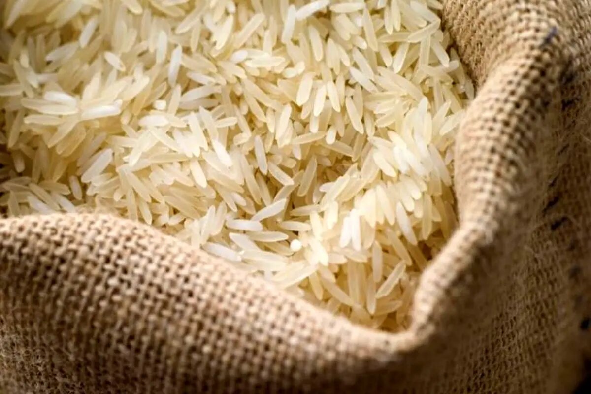 قیمت برنج در میادین تا ۳۰ درصد ارزان‌تر از بازار است