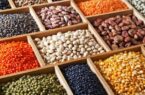 قیمت حبوبات بسته‌بندی شرکتی در میادین وبازارهای میوه و تره بار