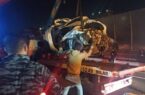 مرگ دو جوان در حادثه واژگونی پژو ۲۰۶ در بزرگراه حکیم
