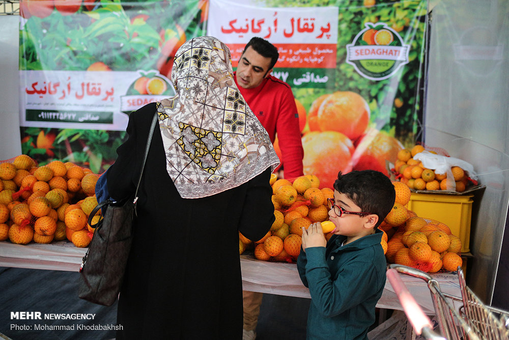 تاکید شهرداری تهران بر اهمیت تغذیه طبیعی و مقابله با تراریخته‌ها