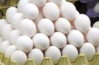 قیمت انواع تخم مرغ پوست سفید اعلام شد