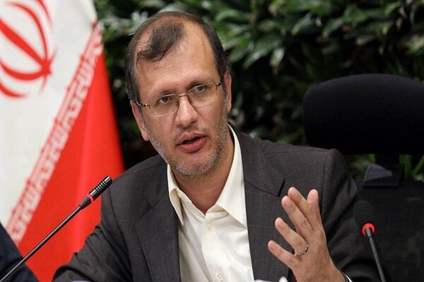 اخذ مجوز جابجایی اشجار در پروژه چوبتراش-تیموری