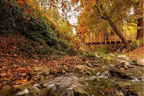 از چشمههای طبیعی تا برج پرندگان؛ جزئیات فاز دوم روددره فرحزاد